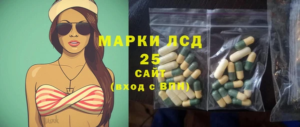 прущие грибы Гусь-Хрустальный