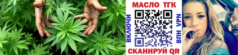 ТГК гашишное масло Купить где Кяхта